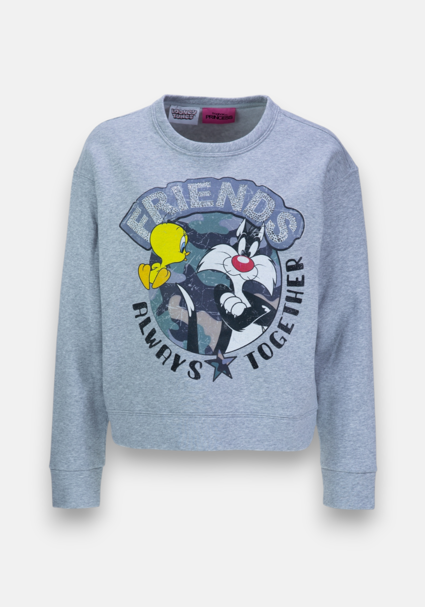 The Frogbox by Princess sweatshirt is light gray with Sylvester & Tweety, “FRIENDS” in bold blue above them, and “Friends Always Together” encircling a star below. It features long sleeves and a crew neckline.