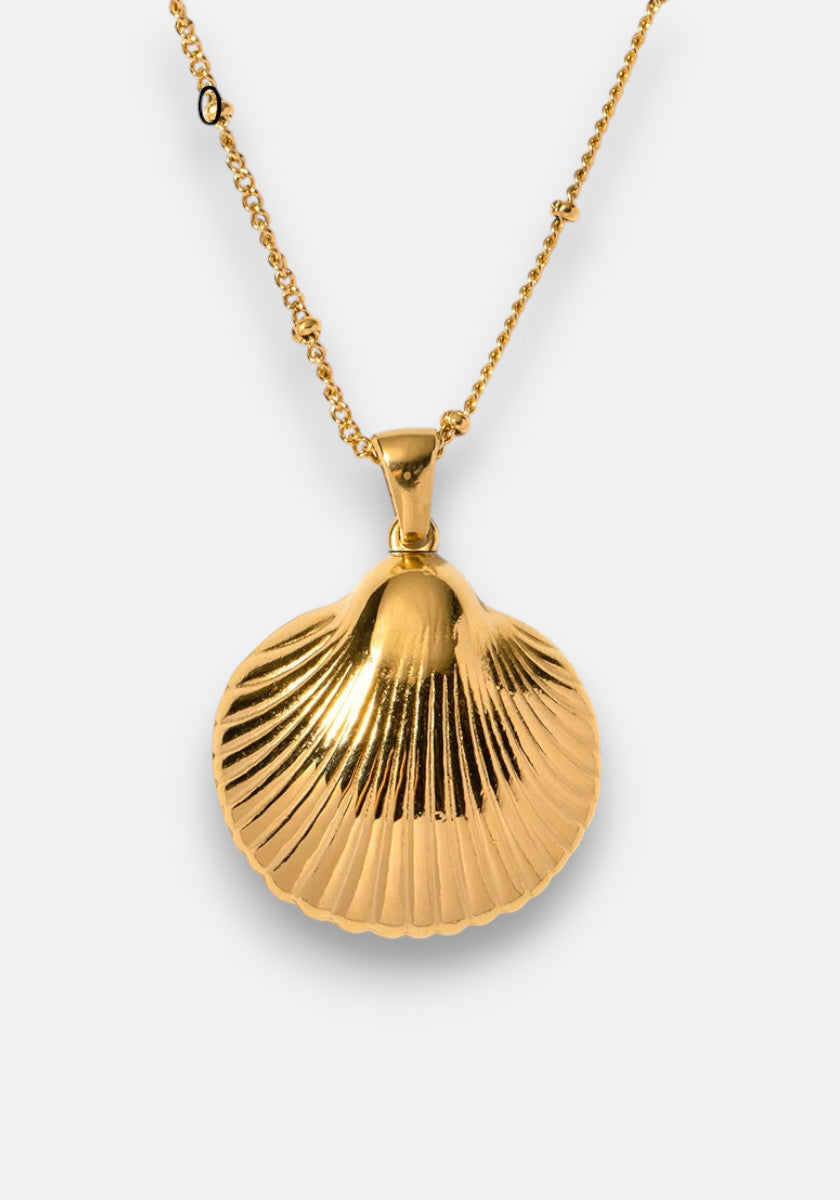 A gold necklace by Princess Goes Hollywood featuring a shiny, scallop-shaped pendant with fine ridges and a smooth bail on a delicate beaded chain, all set against a plain light background.