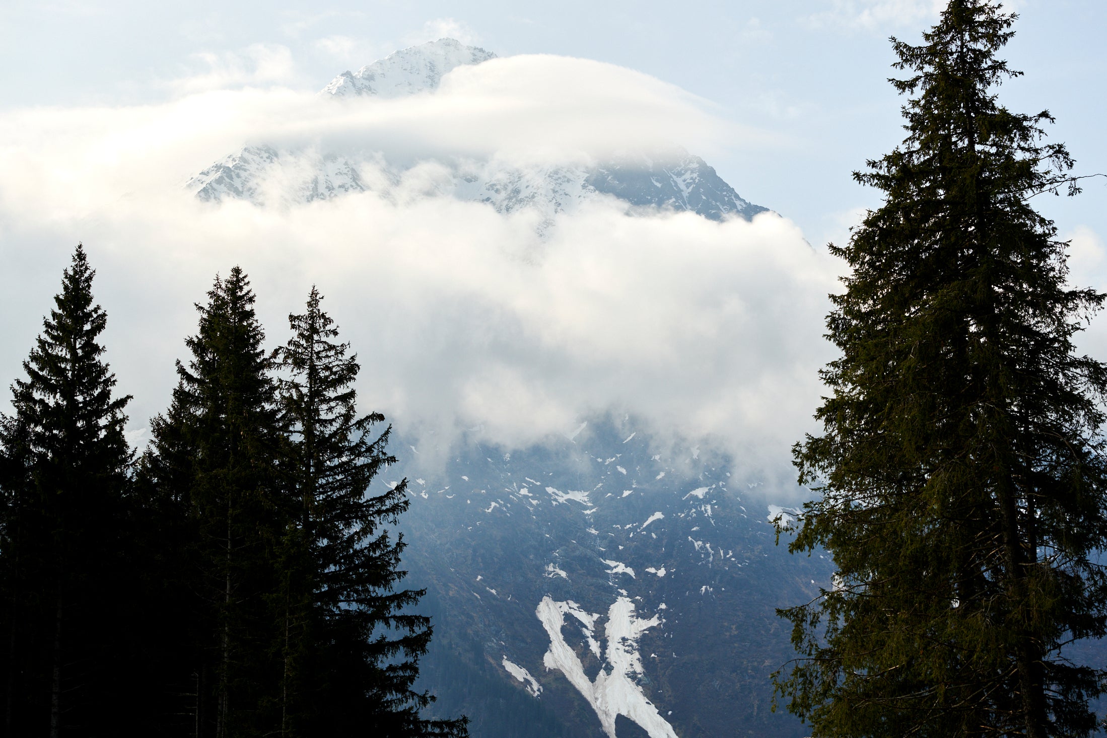 Snow-capped mountain partially covered by clouds, with tall evergreen trees in the foreground. Patches of snow are visible on the mountain’s slopes, and the sky is lightly overcast, creating a calm and serene atmosphere.