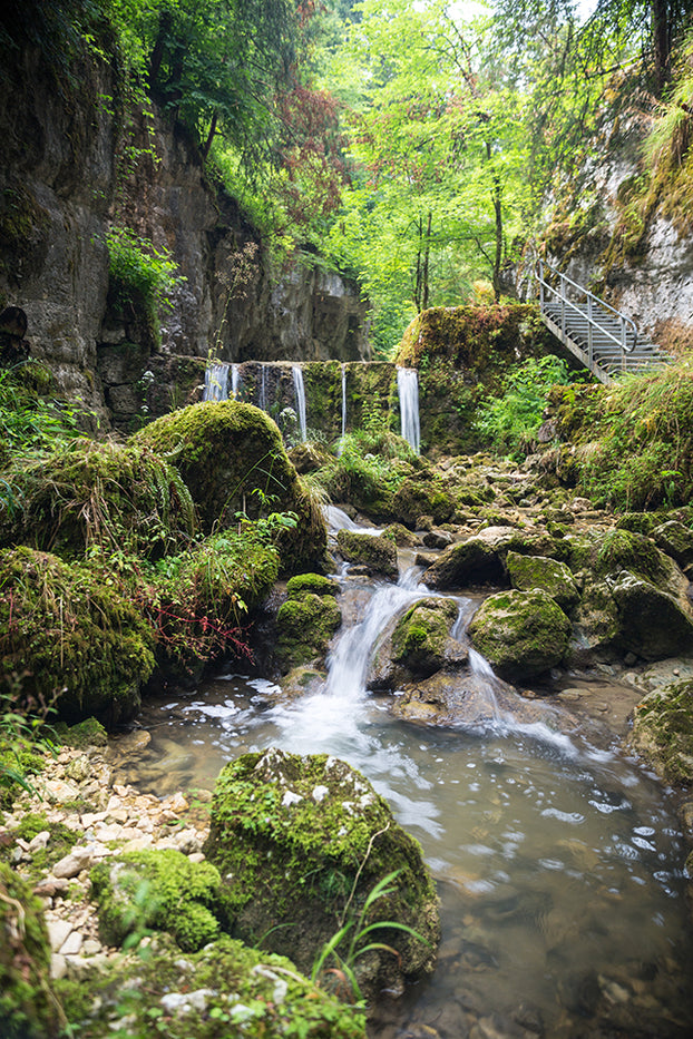 A small, clear waterfall flows over mossy rocks in a lush, green forest. Stone walls and ferns surround the stream. On the right, a metal staircase leads upward beside the waterfall through dense trees and rocky terrain.