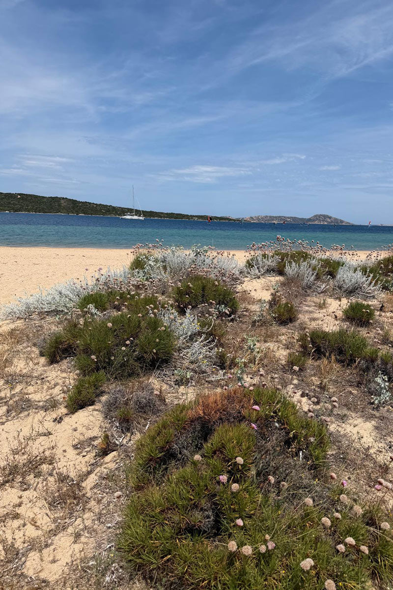 Sardinien, wie es kaum einer kennt – Reisetipps für den wilden Norden