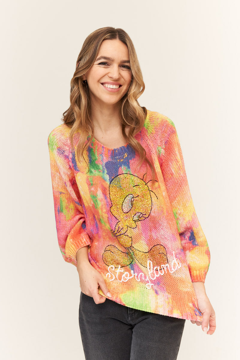 Colorful Tweety sweater