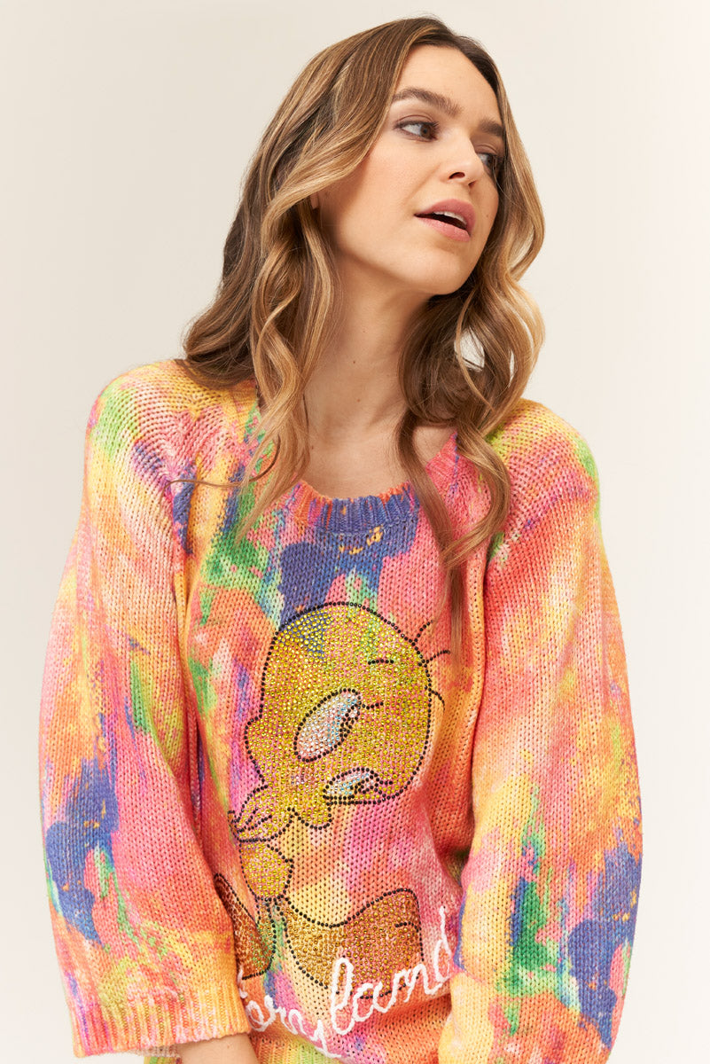 Colorful Tweety sweater