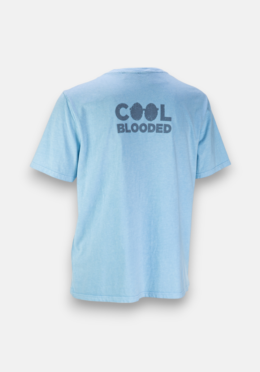 Blaues Kurzarm-T-Shirt „Snoopy Joe Cool” von Frogbox by Princess aus Baumwolle, Rückansicht, mit großem „COOL BLOODED“-Schriftzug und gestalteten Os im oberen Rückenbereich; ansonsten schlicht.